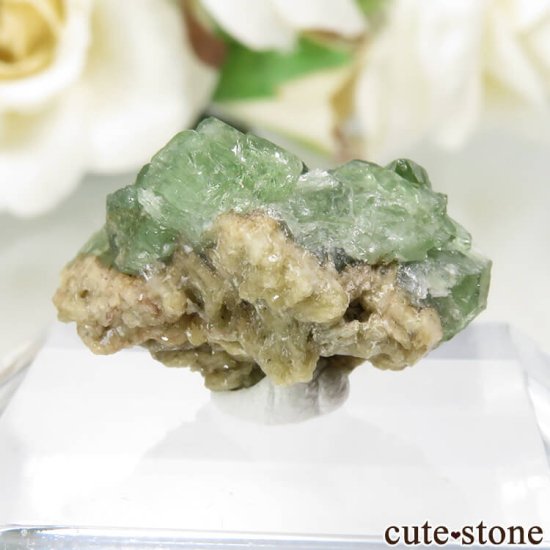 ᥭ San Antonio Mine ɥޥȤθ No.2μ̿1 cute stone