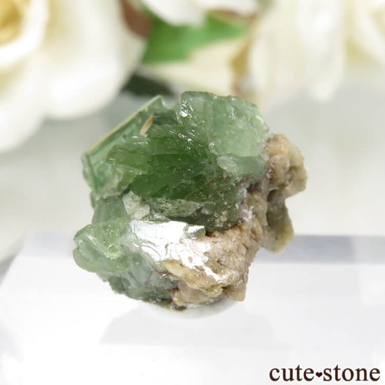 ᥭ San Antonio Mine ɥޥȤθ No.2μ̿2 cute stone