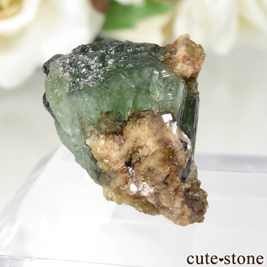 ᥭ San Antonio Mine ɥޥȤθ No.3μ̿0 cute stone