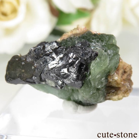 ᥭ San Antonio Mine ɥޥȤθ No.3μ̿1 cute stone