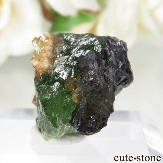 ᥭ San Antonio Mine ɥޥȤθ No.3μ̿2 cute stone