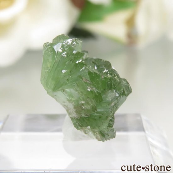 ᥭ San Antonio Mine ɥޥȤθ No.4μ̿0 cute stone