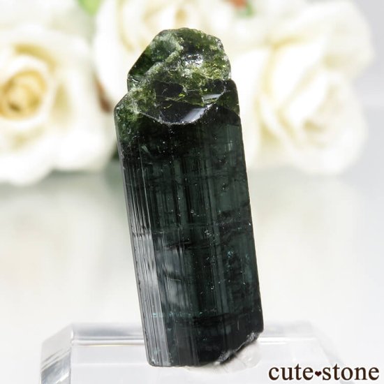 ֥饸 ߥʥ饤 ꡼ߥ֥롼ȥޥθ No.19μ̿0 cute stone