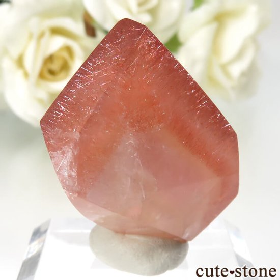 ե ȥ٥꡼(徽)Υݥå  No.4μ̿1 cute stone