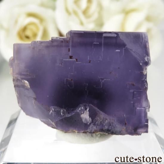 ڥ Berbes Cabana ѡץե饤Ȥθ No.18