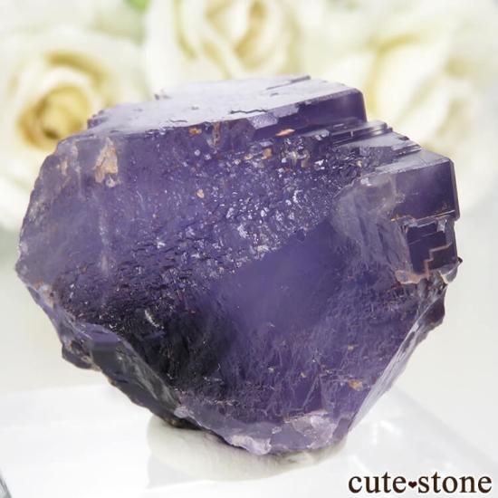 ڥ Berbes Cabana ѡץե饤Ȥθ No.18μ̿0 cute stone