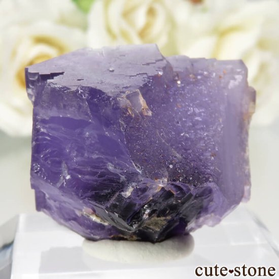 ڥ Berbes Cabana ѡץե饤Ȥθ No.18μ̿1 cute stone