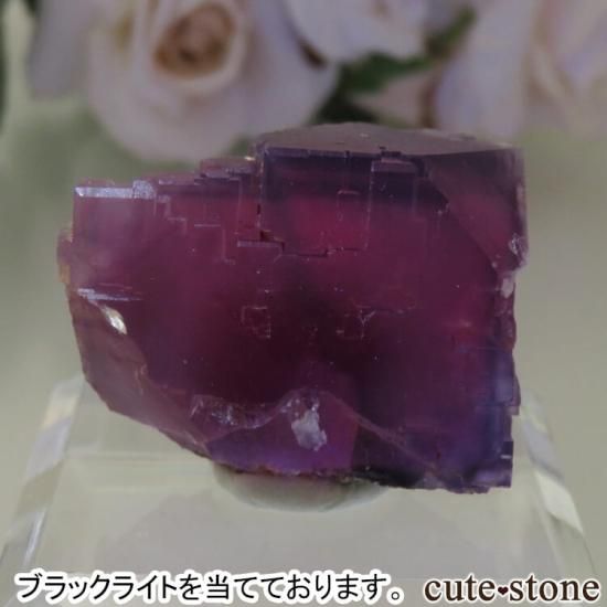 ڥ Berbes Cabana ѡץե饤Ȥθ No.18μ̿4 cute stone