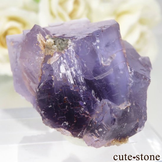 ڥ Berbes Cabana ѡץե饤ȡĤθ No.21μ̿1 cute stone