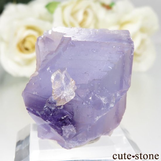 ڥ Berbes Cabana ѡץե饤Ȥθ No.22μ̿1 cute stone