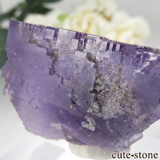 ڥ Berbes Cabana ѡץե饤ȡĤθ No.24μ̿3 cute stone