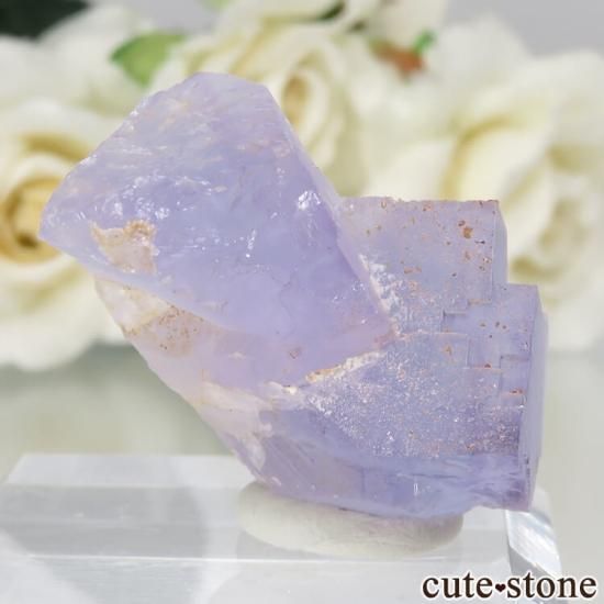 ڥ Berbes Cabana ѡץե饤Ȥθ No.25μ̿0 cute stone