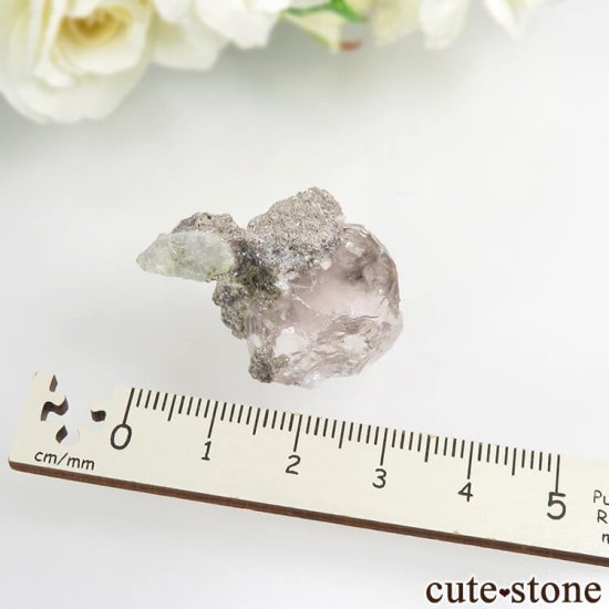 ֥饸 Conselheiro Pena 륬ʥȡ⥹ХȡХȤθ No.8μ̿3 cute stone