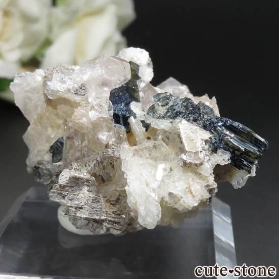 ֥饸 Conselheiro Pena 륬ʥȡȥޥ⥹ХȡХȤθ No.11μ̿1 cute stone