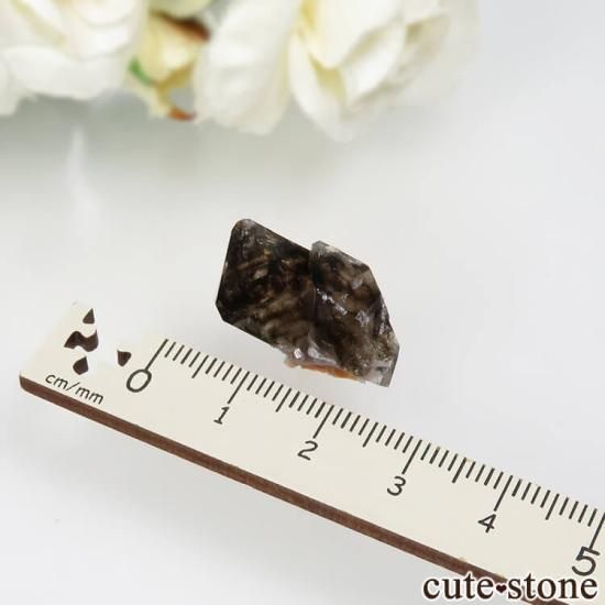 オーストラリア Mooralla(モララ・モレラ)産 スモーキークォーツ No.18の写真1 cute stone