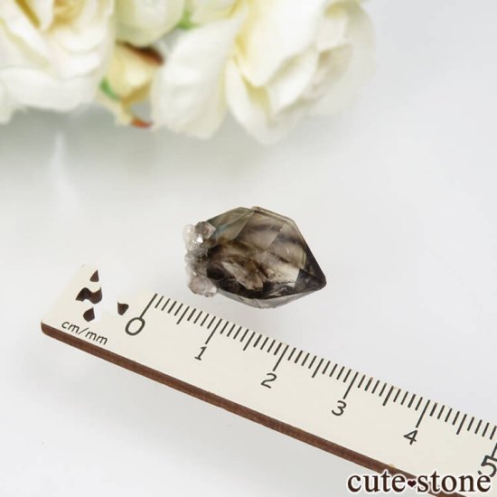 オーストラリア Mooralla(モララ・モレラ)産 スモーキークォーツ No.19の写真1 cute stone