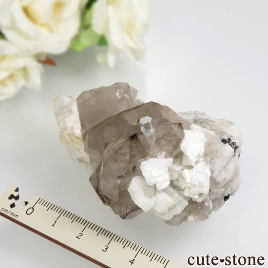 ѥ 뻺 ޥ⡼ġХȤθ No.30μ̿6 cute stone