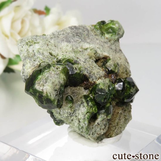  Belqeys MountainΥǥޥȥɥͥåȤդ No.6μ̿0 cute stone