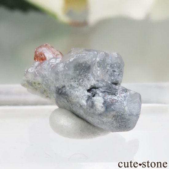 ե˥ Paprok ٥ͥʥȡߥĤθ No.1μ̿1 cute stone
