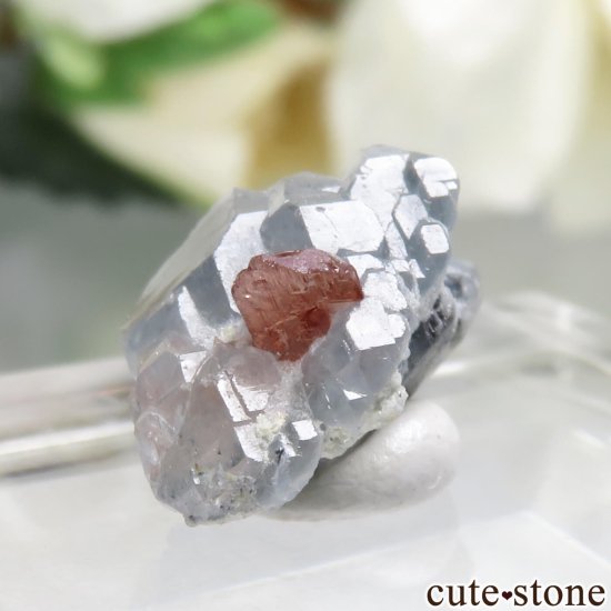 ե˥ Paprok ٥ͥʥȡߥĤθ No.1μ̿2 cute stone