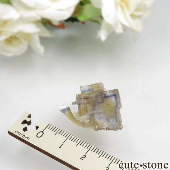 ե La Barre Mine ֥롼ߥե饤Ȥη뾽ʸСNo.38μ̿2 cute stone