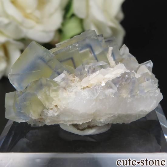 ե La Barre Mine ֥롼ߥե饤Ȥη뾽ʸСNo.39