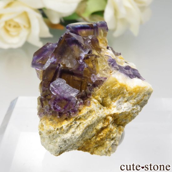 ե La Barre Mine ֥롼ߥե饤Ȥη뾽ʸСNo.42μ̿2 cute stone