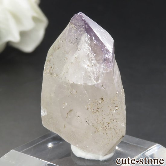 ڹ ľƻ ᥸ȡʥץġˤθ No.1μ̿0 cute stone