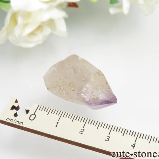 ڹ ľƻ ᥸ȡʥץġˤθ No.1μ̿2 cute stone