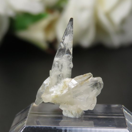 カナダ ケベック州 Jeffrey Mine産 プレナイトの原石 No.1の写真1 cute stone