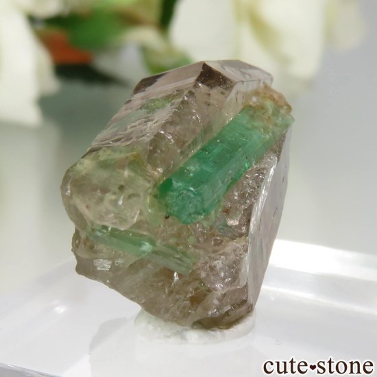 ե˥ Panjshir ɡ⡼ No.6μ̿0 cute stone