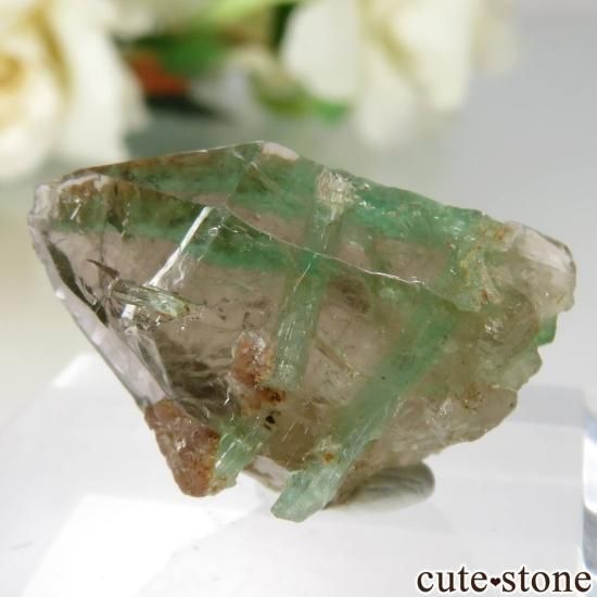 ե˥ Panjshir ɡ⡼ No.6μ̿1 cute stone