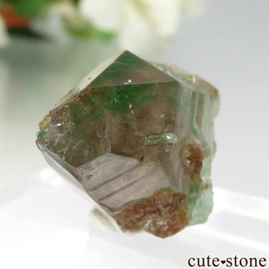 ե˥ Panjshir ɡ⡼ No.6μ̿2 cute stone