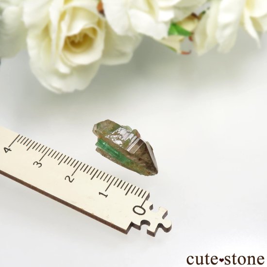 ե˥ Panjshir ɡ⡼ No.6μ̿4 cute stone