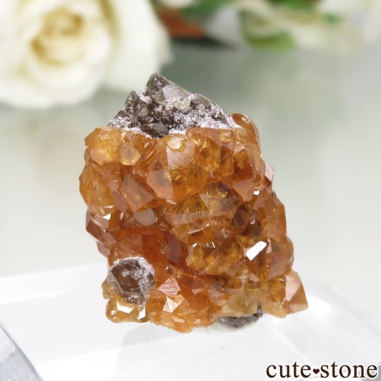 ʡʻ ⡼ġڥƥ󥬡ͥåȤθ No.12μ̿0 cute stone