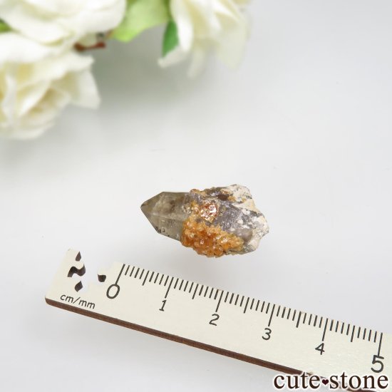 ʡʻ ⡼ġڥƥ󥬡ͥåȤθСʥͥåȥ󥯥ġ No.14μ̿4 cute stone