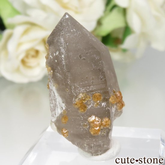 福建省産 スモーキークォーツ＆スペサルティンガーネットの原石 No.15の写真1 cute stone