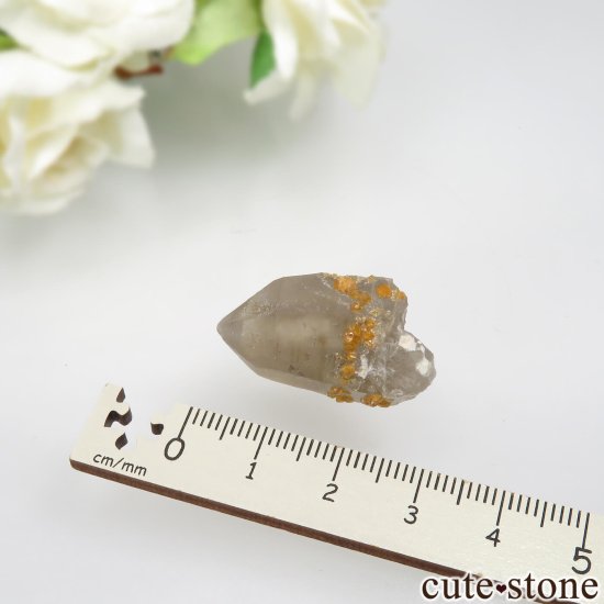 ʡʻ ⡼ġڥƥ󥬡ͥåȤθ No.15μ̿2 cute stone