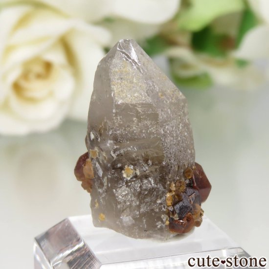 福建省産 スモーキークォーツ＆スペサルティンガーネットの原石 No.16の写真0 cute stone