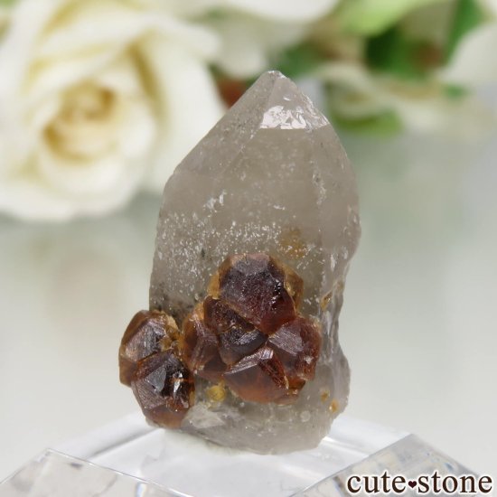 ʡʻ ⡼ġڥƥ󥬡ͥåȤθ No.16μ̿1 cute stone