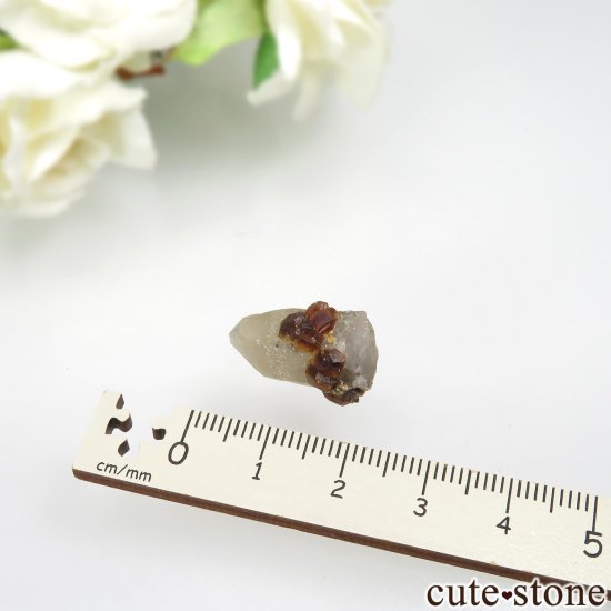 ʡʻ ⡼ġڥƥ󥬡ͥåȤθ No.16μ̿2 cute stone