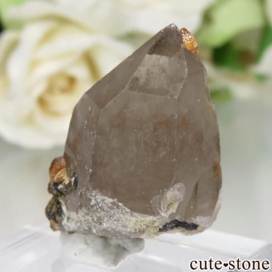 ʡʻ ⡼ġڥƥ󥬡ͥåȤθСʥͥåȥ󥯥ġ No.17μ̿1 cute stone