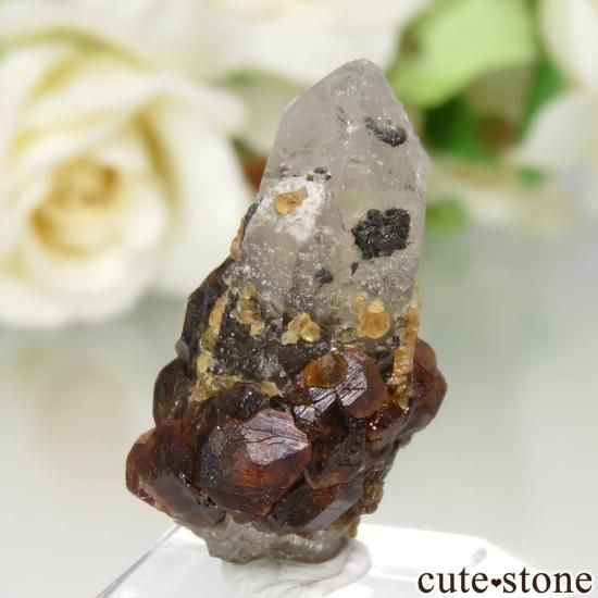 福建省産 スモーキークォーツ&スペサルティンガーネットの原石 No.18の写真1 cute stone