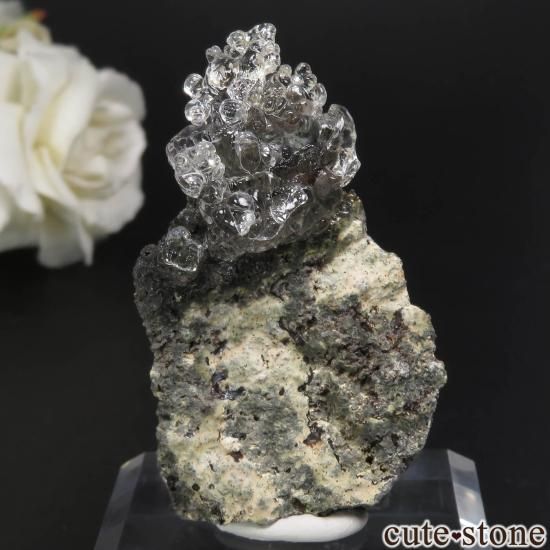 ϥ󥬥꡼ Kopasz Hill andesite quarry ϥ饤(ѡ)դ No.31