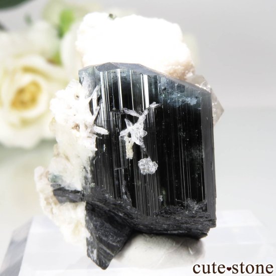 ѥ ɥ Chamacho mine ֥롼ȥޥġХȡ⥹ХȤθ No.20μ̿0 cute stone