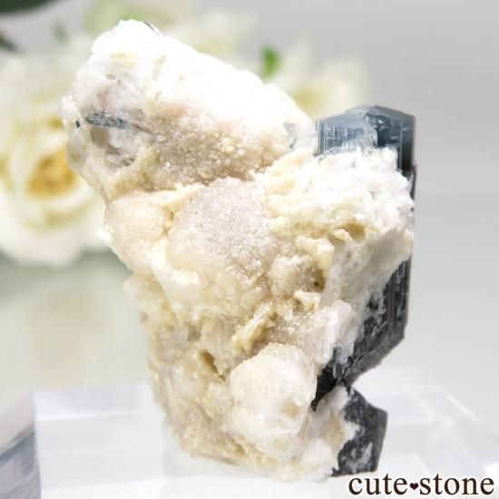 ѥ ɥ Chamacho mine ֥롼ȥޥġХȡ⥹ХȤθ No.20μ̿1 cute stone