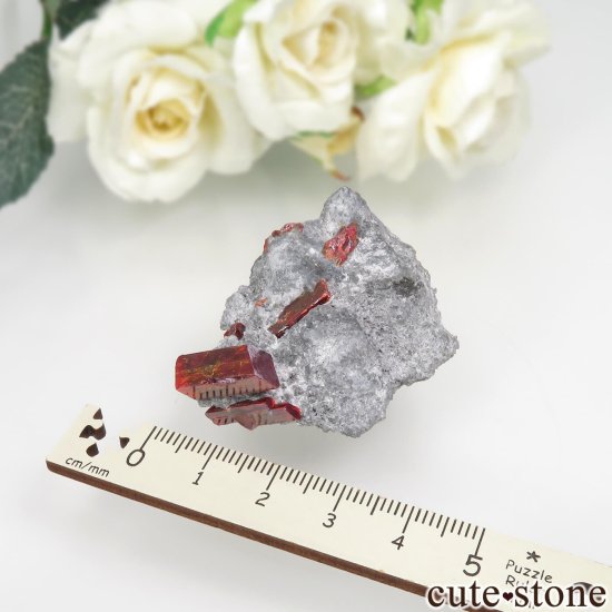 롼ޥ˥ No. 5 Mine ꥢ륬θ No.1μ̿6 cute stone