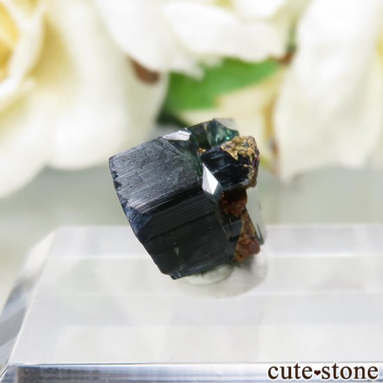 ܥӥ Huanuni mine ӥӥʥȤθ No.1μ̿0 cute stone