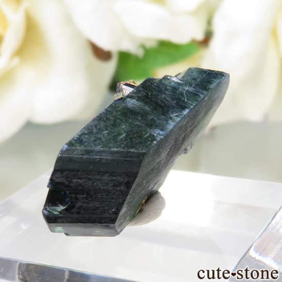 ܥӥ Huanuni mine ӥӥʥȤθ No.1μ̿2 cute stone