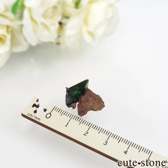 ܥӥ Huanuni mine ӥӥʥȤθ No.5μ̿3 cute stone